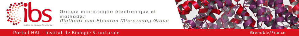 Groupe microscopie et méthodes